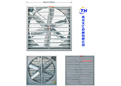 A型風(fēng)機雙百頁式負壓風(fēng)機